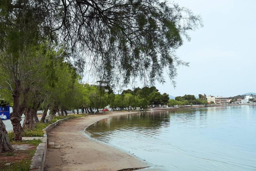Πολυτελές Διαμέρισμα 3 Χαλκίδα-Παραλία Αυλίδος Avlídosz-part Kültér fotó