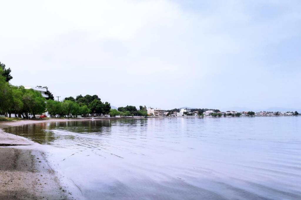 Πολυτελές Διαμέρισμα 3 Χαλκίδα-Παραλία Αυλίδος Avlídosz-part Kültér fotó